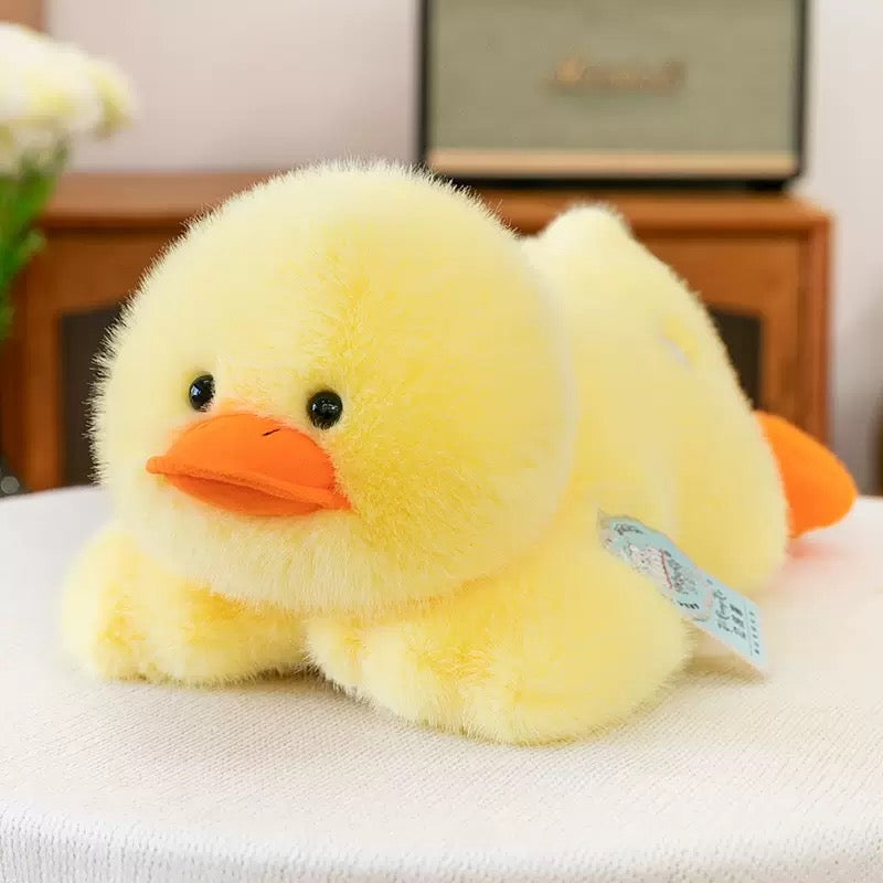 Lazy Duck